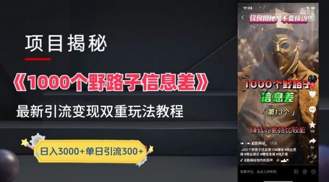 一千个野路子信息差最新玩法教程-变现+引流的玩法具体拆解【揭秘】-情久项目网