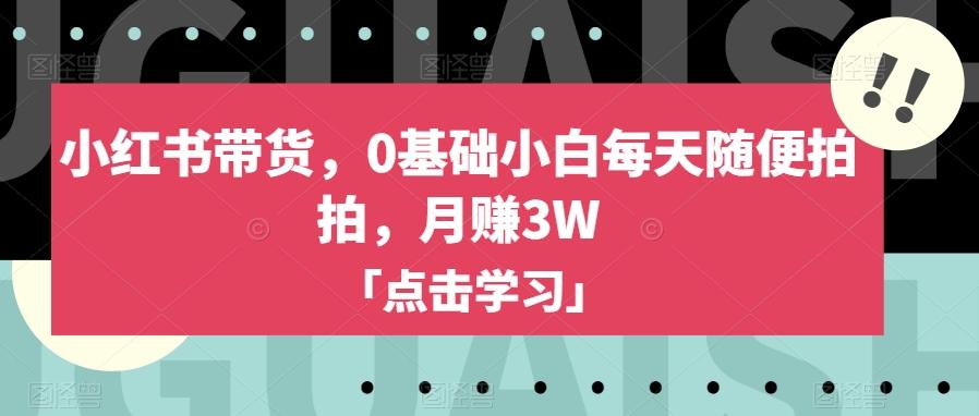 小红书带货，0基础小白每天随便拍拍，月赚3W【揭秘】-情久项目网