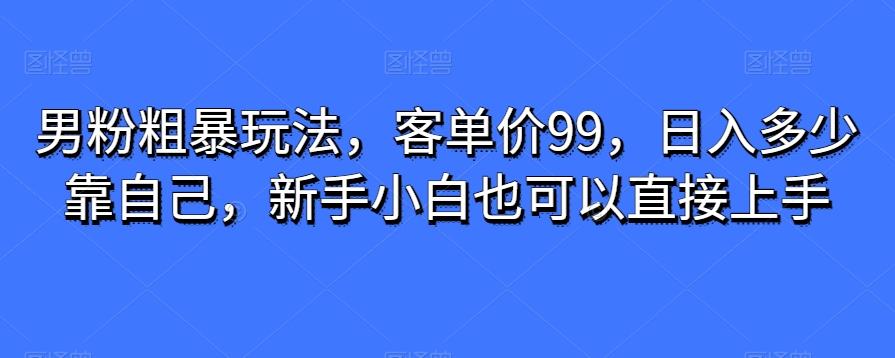 男粉粗暴玩法，客单价99，日入多少靠自己，新手小白也可以直接上手-情久项目网