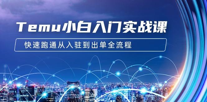 (9295期)Temu小白入门实战课：跨境拼多多电商培训 快速跑通从入驻到出单全流程-12节-情久项目网
