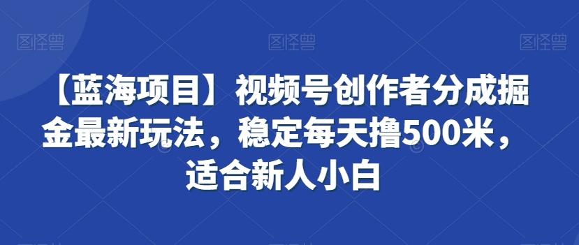 【蓝海项目】视频号创作者分成掘金最新玩法，稳定每天撸500米，适合新人小白【揭秘】-情久项目网