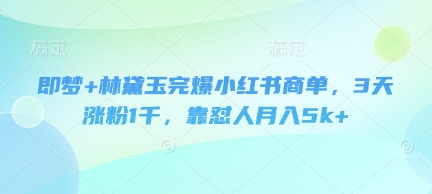 即梦+林黛玉完爆小红书商单，3天涨粉1千，靠怼人月入5k+-情久项目网