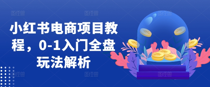 小红书电商项目教程，0-1入门全盘玩法解析-情久项目网