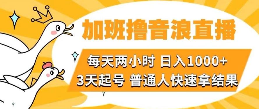 加班撸音浪直播，每天两小时，日入1000+，直播话术才3句，3天起号，普通人快速拿结果【揭秘】-情久项目网