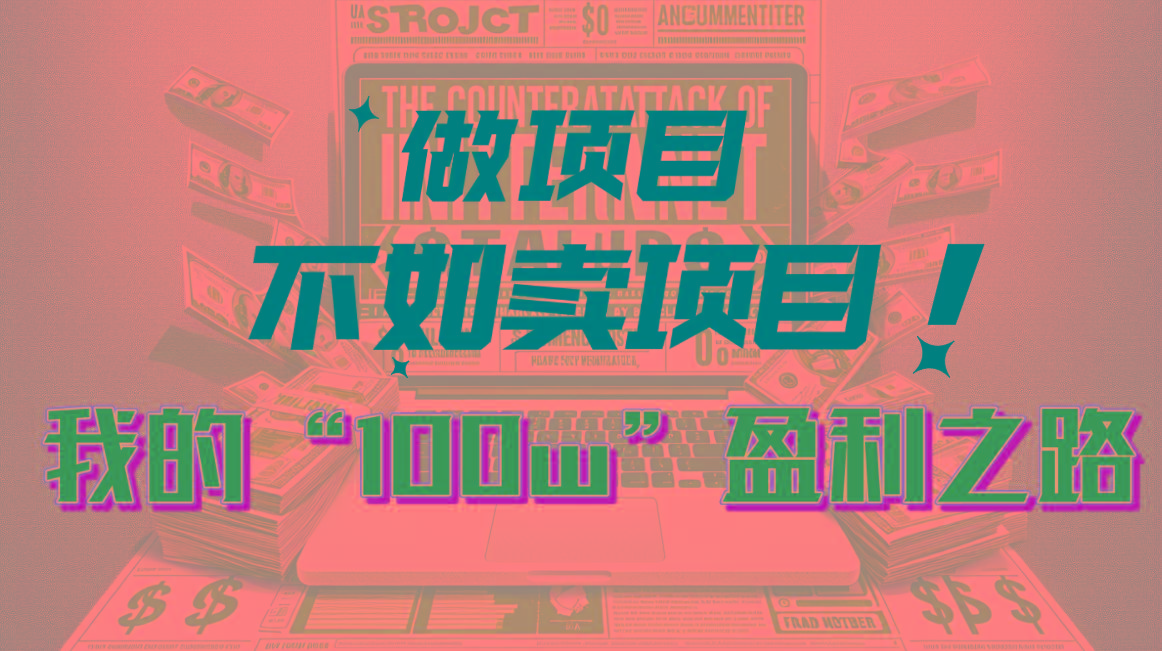 为什么做项目不如卖项目？我的100W+盈利之路-情久项目网