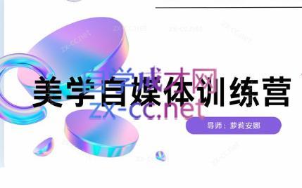 安娜·美学自媒体IP系统课-情久项目网