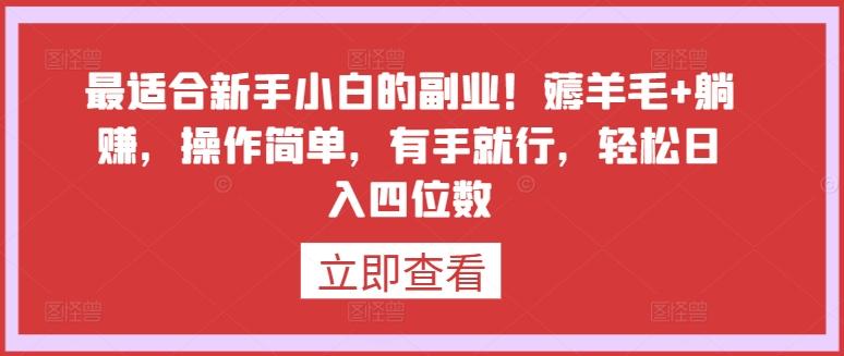 最适合新手小白的副业！薅羊毛+躺赚，操作简单，有手就行，轻松日入四位数【揭秘】-情久项目网