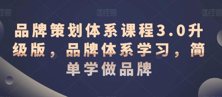 品牌策划体系课程3.0升级版，品牌体系学习，简单学做品牌-情久项目网