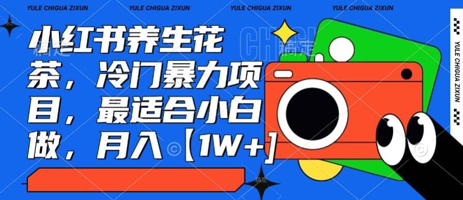 小红书养生花茶，冷门暴力项目，最适合小白做，月入【1W+】-情久项目网