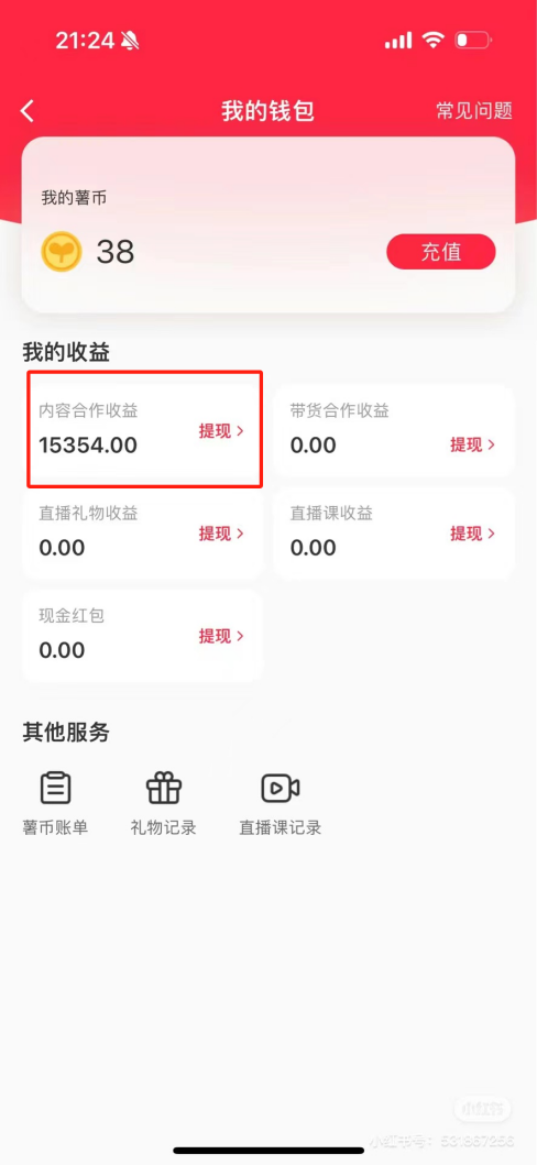 热门评论引爆小红书流量，作品制作简单，广告接到手软，月入过万不是梦-情久项目网