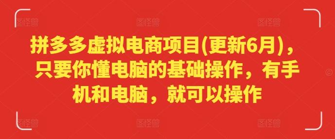 拼多多虚拟电商项目(更新6月)，只要你懂电脑的基础操作，有手机和电脑，就可以操作-情久项目网
