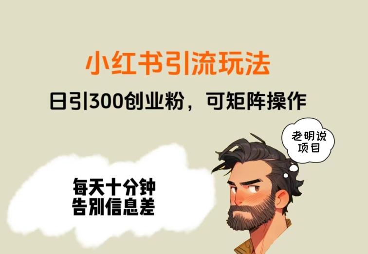 靠小红书视频日印300粉，两分钟一个视频轻松矩阵-情久项目网