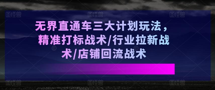 无界直通车三大计划玩法，精准打标战术/行业拉新战术/店铺回流战术-情久项目网