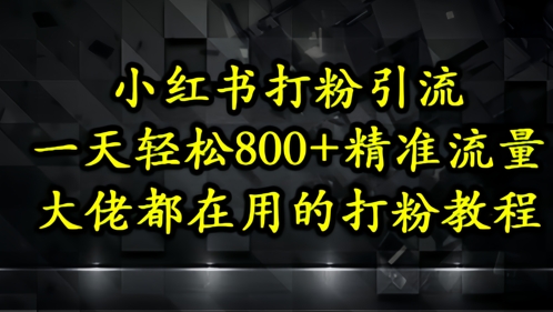 小红书打粉引流，一天轻松500+精准流量，大佬都在用的打粉教程-情久项目网