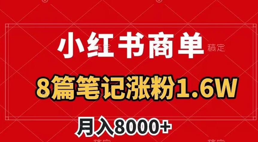 小红书商单最新玩法，8篇笔记涨粉1.6w，作品制作简单，月入8000+【揭秘】-情久项目网