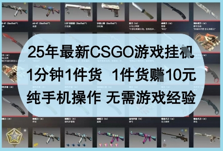 25年最新CSGO游戏挂G，1分钟1件货，1件货挣10元，纯手机操作，无需游戏经验【揭秘】-情久项目网