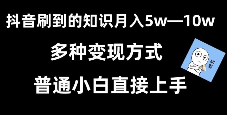 抖音刷到的知识，每天只需2小时，日入2000+，暴力变现，普通小白直接上手【揭秘】-情久项目网