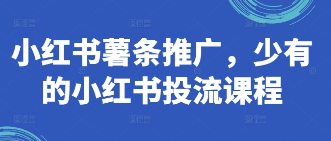 小红书薯条推广，少有的小红书投流课程-情久项目网