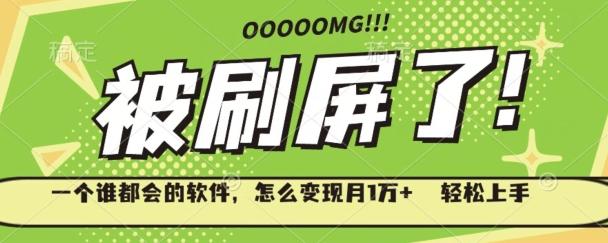 一个谁都会的软件，怎么变现月1万+轻松上手-情久项目网