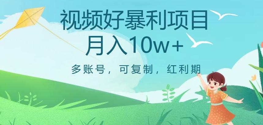 视频号暴利项目，多账号，可复制，红利期，月入10w+【揭秘】-情久项目网