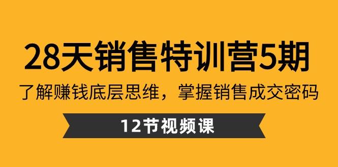 28天销售特训营5期：了解赚钱底层思维，掌握销售成交密码（12节课）-情久项目网