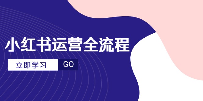 小红书运营全流程，爆款选题文案，视频制作技巧，进阶达人宝典-情久项目网