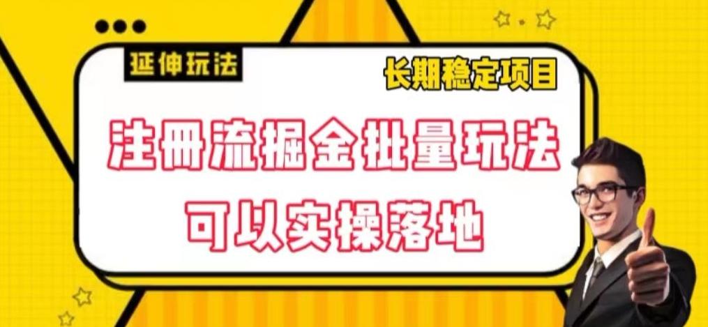 注册流掘金批量玩法，可以实操落地【揭秘】-情久项目网