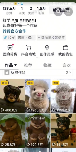 抖音65W博主AI萌宠课程，新赛道流量大，原创+二创，全套课程+提示词-情久项目网