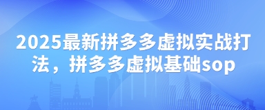 2025最新拼多多虚拟实战打法，拼多多虚拟基础sop-情久项目网