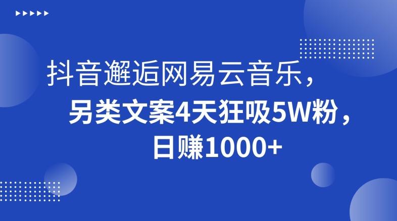 抖音邂逅网易云音乐，另类文案4天狂吸5W粉，日赚1000+【揭秘】-情久项目网