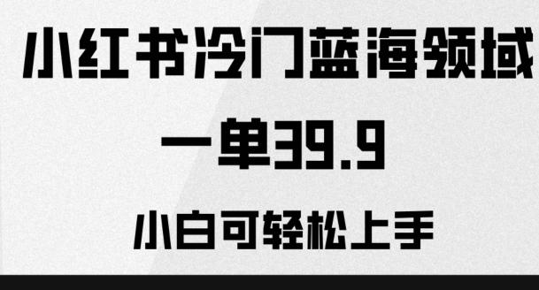 小红书冷门蓝海领域，一单39.9，小白可轻松上手-情久项目网