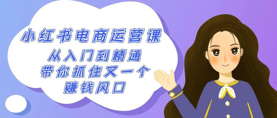 2024小红书电商运营课，从入门到精通，带你抓住又一个赚钱风口(50节课)-情久项目网