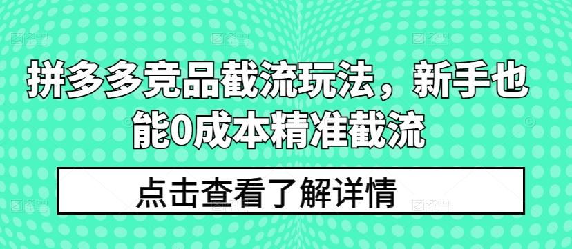 拼多多竞品截流玩法，新手也能0成本精准截流-情久项目网