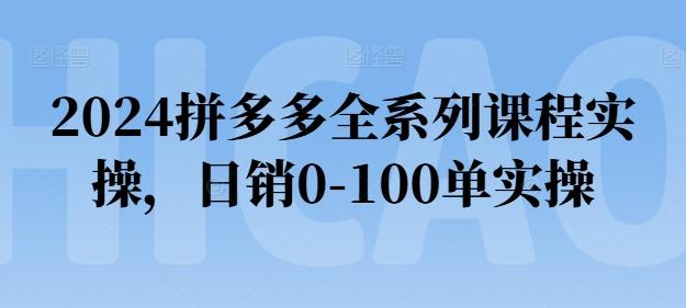 2024拼多多全系列课程实操，日销0-100单实操【必看】-情久项目网