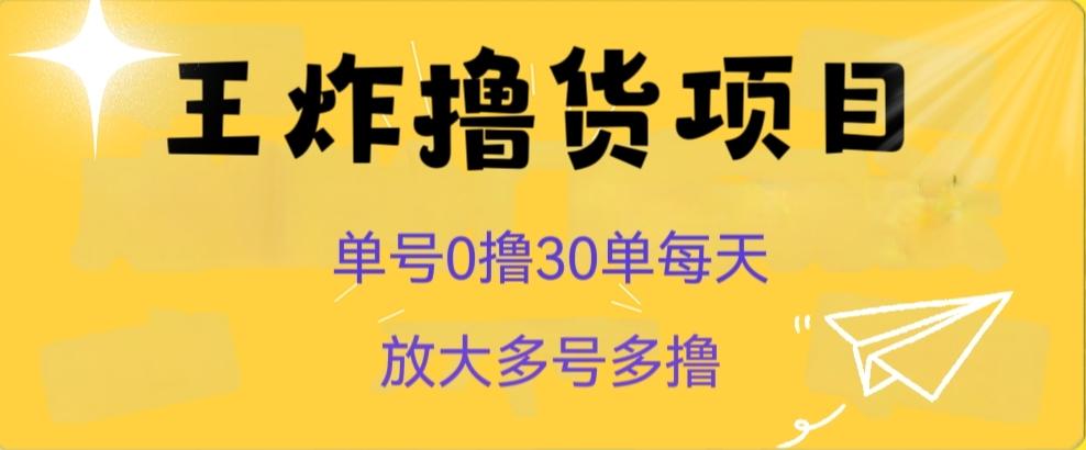 王炸撸货项目，单号0撸30单每天，多号多撸【揭秘】-情久项目网