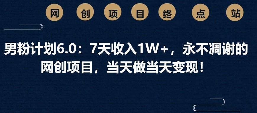 男粉计划6.0：7天收入1W+，永不凋谢的网创项目，当天做当天变现！-情久项目网