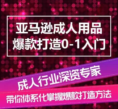 亚马逊成人用品爆款打造0-1入门，系统化讲解亚马逊成人用品爆款打造的流程-情久项目网