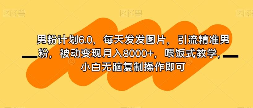男粉计划6.0，每天发发图片，引流精准男粉，被动变现月入8000+，喂饭式教学，小白无脑复制操作即可-情久项目网