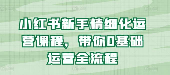 小红书新手精细化运营课程，带你0基础运营全流程-情久项目网