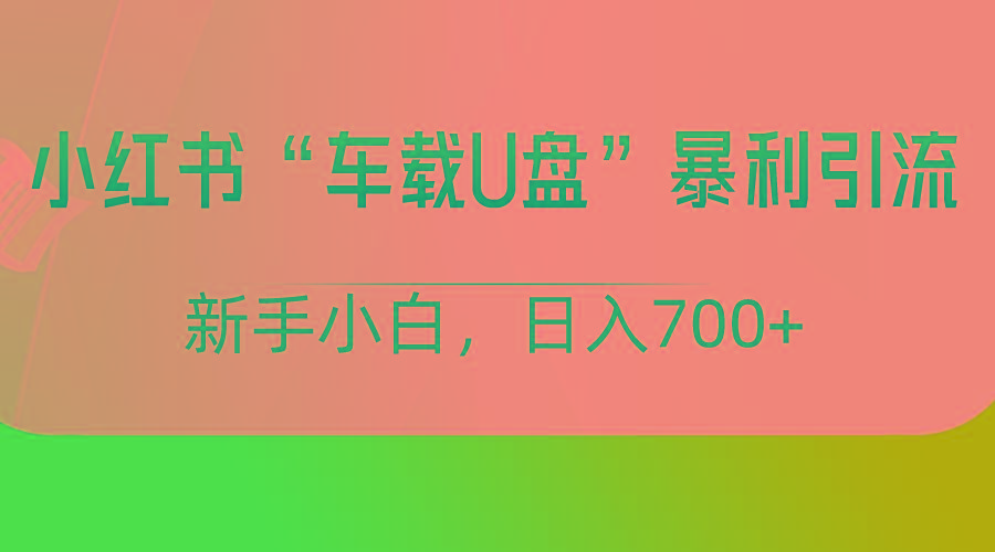 小红书“车载U盘”项目，暴利引流，新手小白轻松日入700+-情久项目网