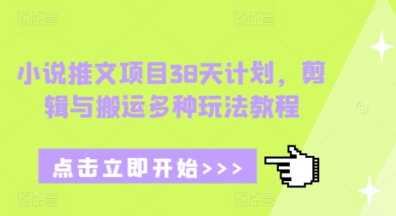 小说推文项目38天计划，剪辑与搬运多种玩法教程-情久项目网
