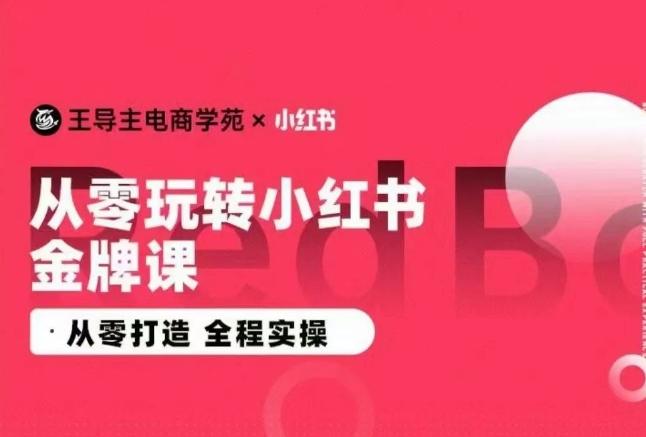 王导主·小红书电商运营实操课，​从零打造  全程实操-情久项目网