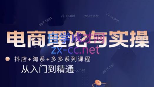 磊子·电商理论与实操(抖店+淘系+拼多多)-情久项目网