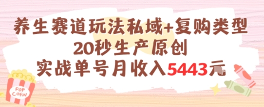 养生赛道玩法私域+复购类型，20秒生产原创实战单号月收入5k+-情久项目网