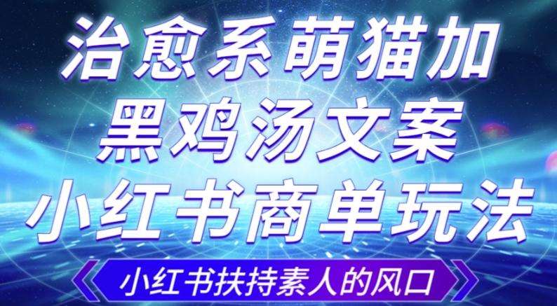 治愈系萌猫加+黑鸡汤文案，小红书商单玩法，3~10天涨到1000粉，一单200左右-情久项目网