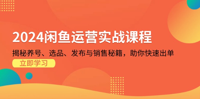 2024闲鱼运营实战课程：揭秘养号、选品、发布与销售秘籍，助你快速出单-情久项目网