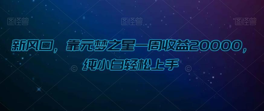 新风口，靠元梦之星一周收益20000，纯小白轻松上手-情久项目网