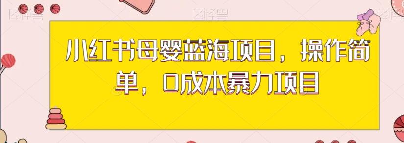 小红书母婴蓝海项目，操作简单，0成本暴力项目-情久项目网