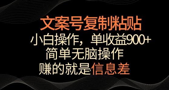 文案号掘金，简单复制粘贴，小白操作，单作品收益900+【揭秘】-情久项目网