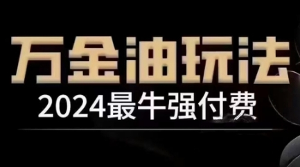2024最牛强付费，万金油强付费玩法，干货满满，全程实操起飞(更新25年04月)-情久项目网
